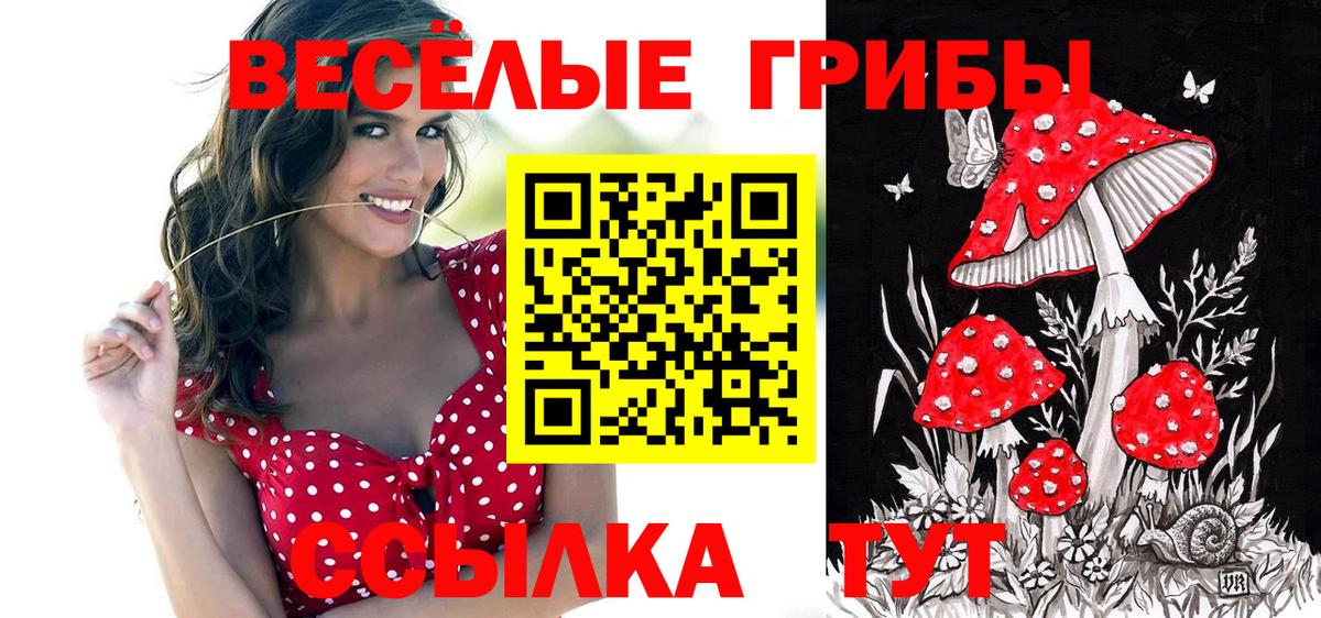 Псилоцибиновые грибы GOLDEN TEACHER Муравленко